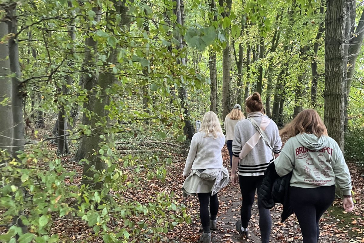 A small group walking together along a woodland path in autumn