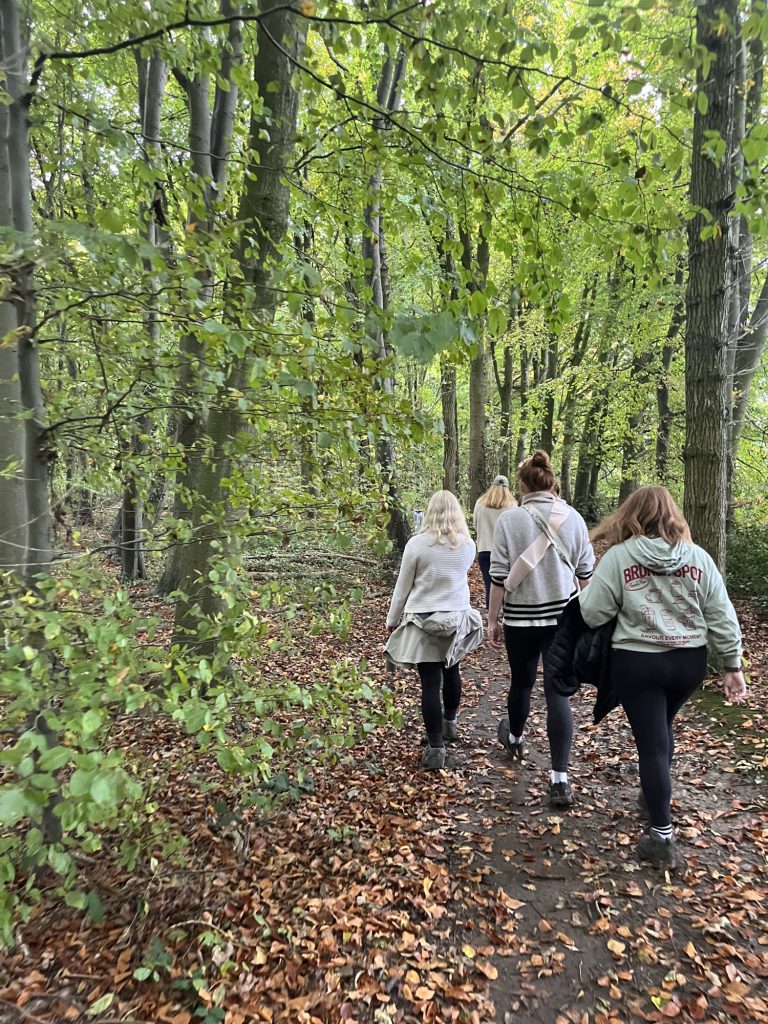 A small group walking together along a woodland path in autumn